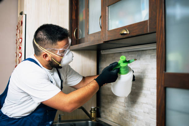 Trusted Austin, MN Pest Control Experts