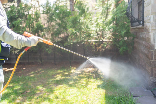 Best Best Pest Control Companies  in Austin, MN